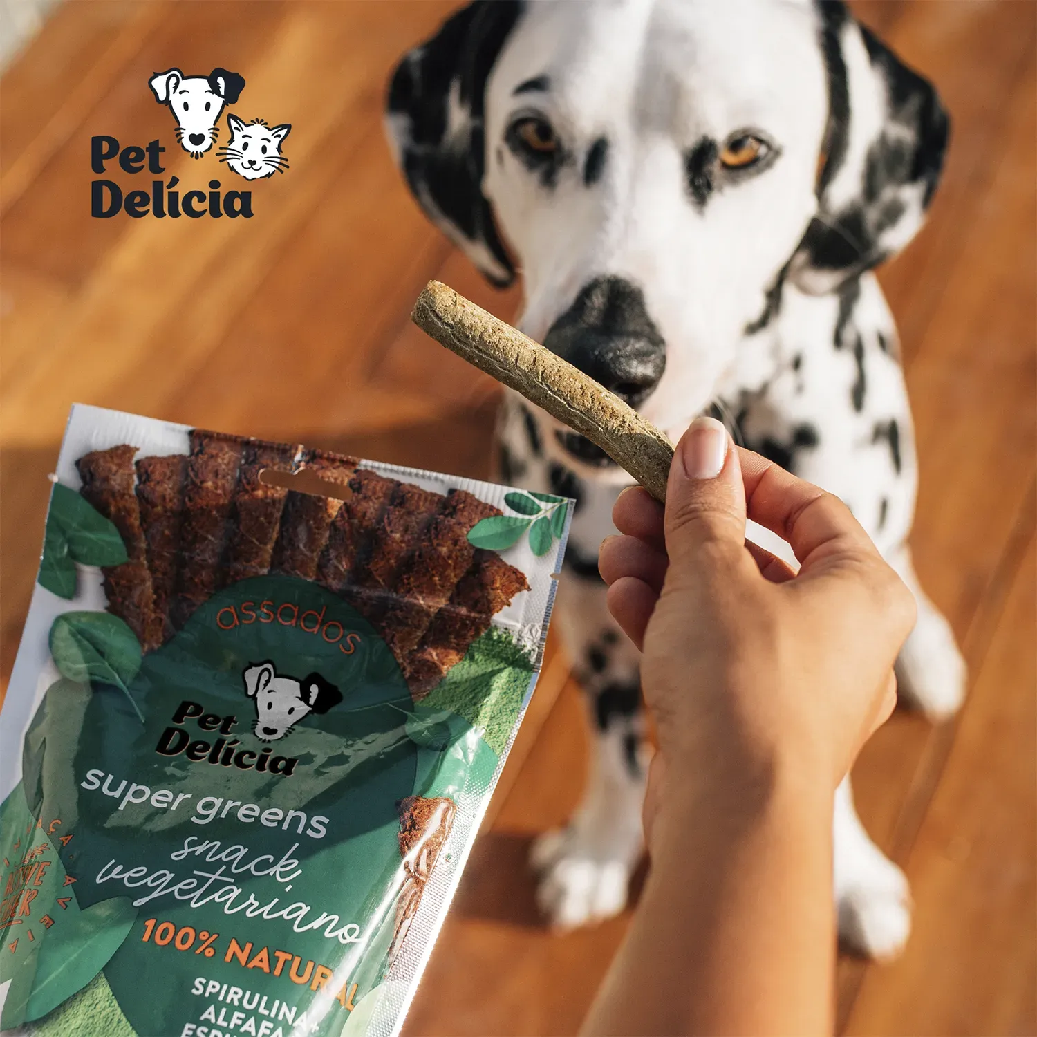 Petisco Pet Delícia Super Greens Sticks Vegetariano